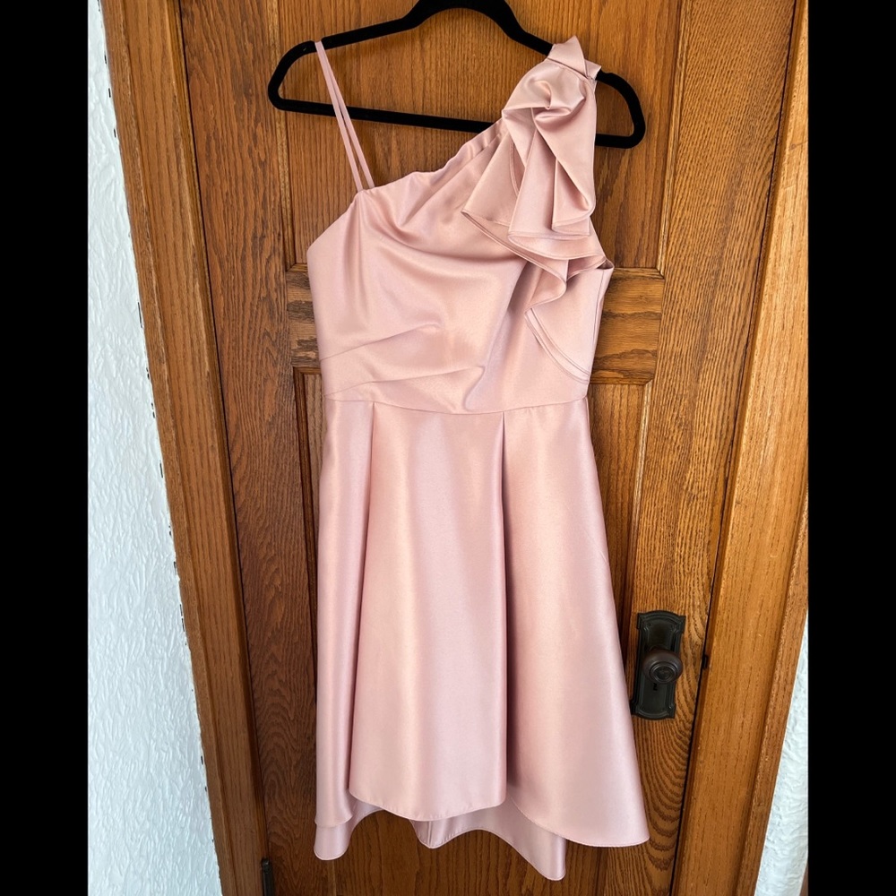 Adrianna Papell Blush Cocktail Dress
